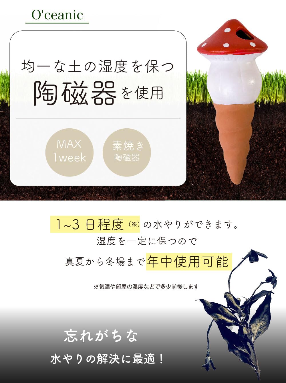Amazon.co.jp: O'ceanic 自動水やり器【日本語説明書付き】給水器 植物